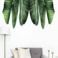 Tropical leaves