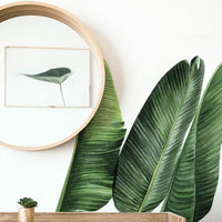 Tropical leaves