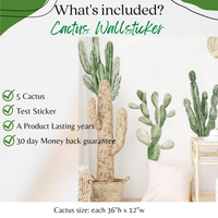 Cactus