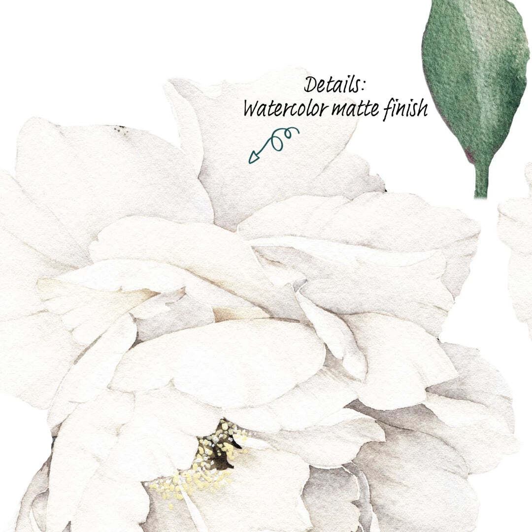 Peony Wallstickers- White