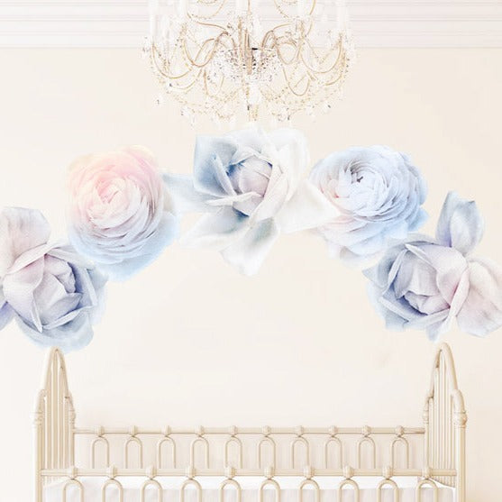 Ombre Rose